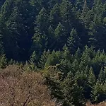 Elati Hills Chalet Vytina
