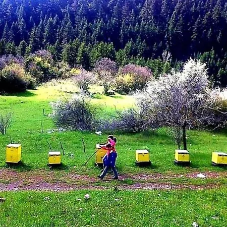 Σαλέ Elati Hills