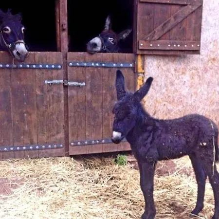 Elati Hills Chalé Vytina