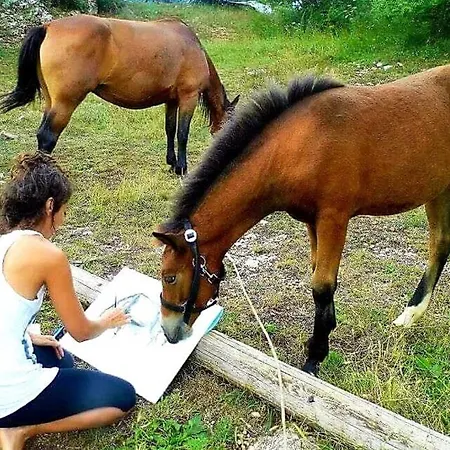 Elati Hills * Vitina