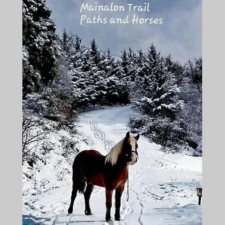 Elati Hills Chalé Vytina