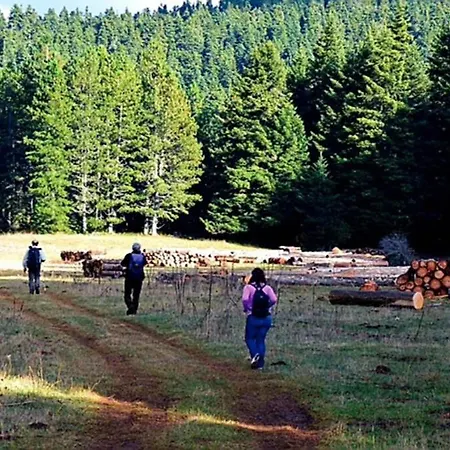 Elati Hills Chalé *