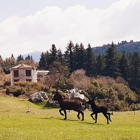 Elati Hills