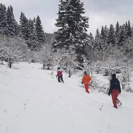 Elati Hills Alpehytte Vitina