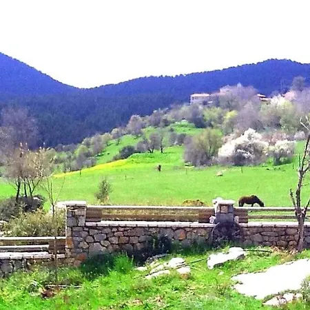 Σαλέ Elati Hills *