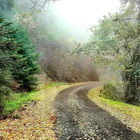 Elati Hills Σαλέ Βυτίνα