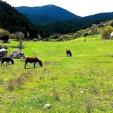 Elati Hills Βυτίνα