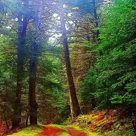 Elati Hills Σαλέ Βυτίνα