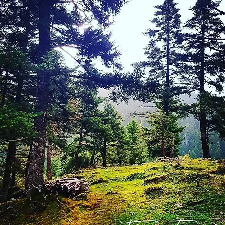 Elati Hills Alpehytte