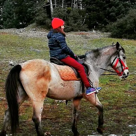 Alpehytte Elati Hills