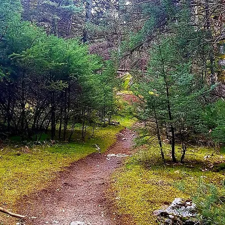 Elati Hills * Βυτίνα