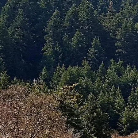 Elati Hills Alpehytte Vitina