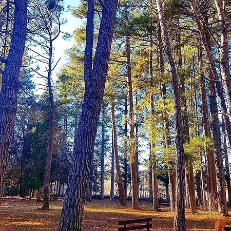 Σαλέ Elati Hills