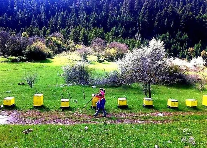 Alpstuga Elati Hills