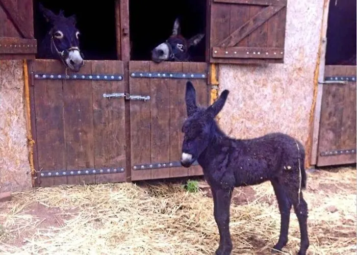 Elati Hills Alpstuga Vytina