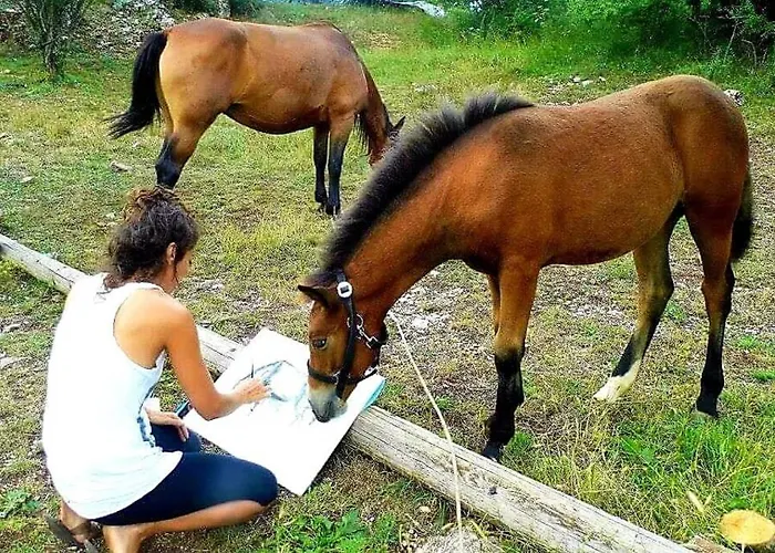 Elati Hills * Vytina