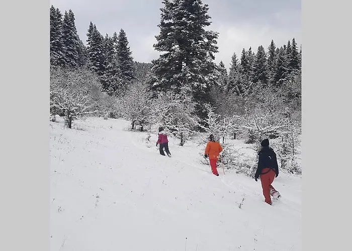 Elati Hills Alpstuga Vytina