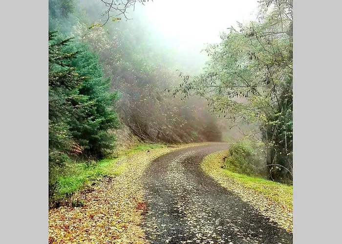 Elati Hills Alpstuga Vytina