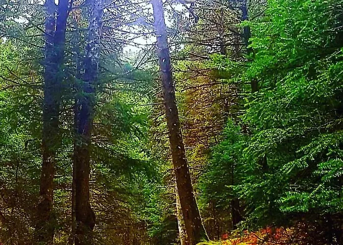 Elati Hills Alpstuga Vytina