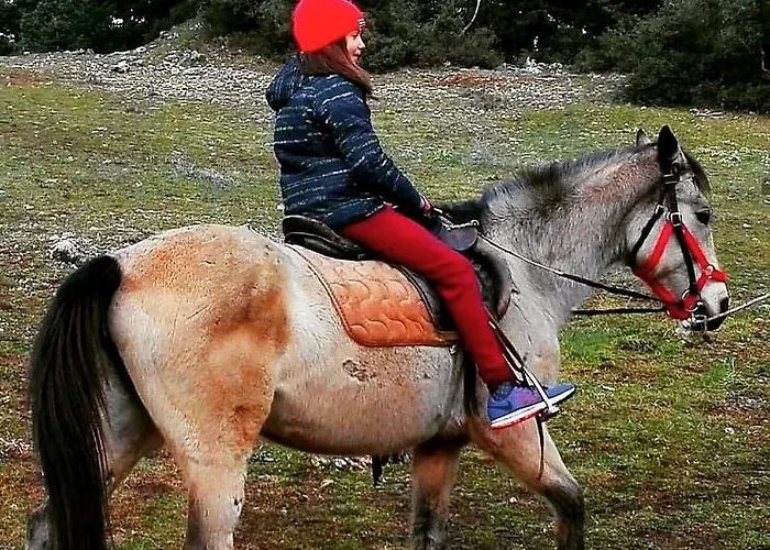 Alpstuga Elati Hills