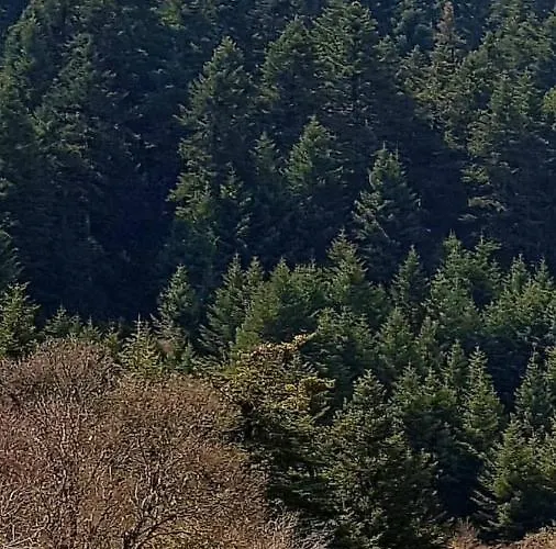 Elati Hills Alpstuga Vytina