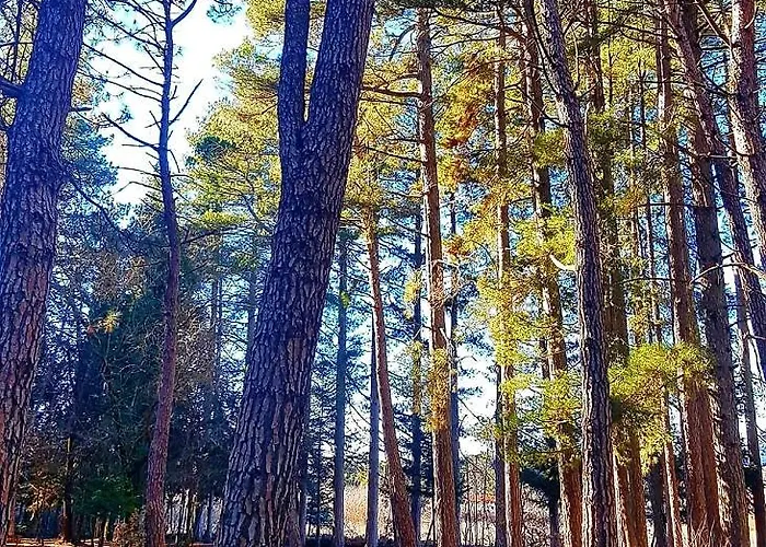 Alpstuga Elati Hills